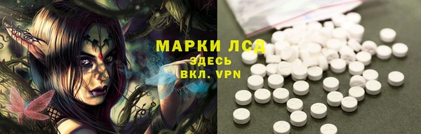ПСИЛОЦИБИНОВЫЕ ГРИБЫ Кодинск