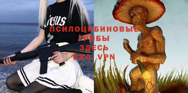 ПСИЛОЦИБИНОВЫЕ ГРИБЫ Кодинск