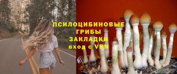 СК Корсаков