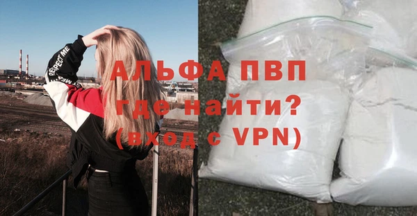СК Козельск