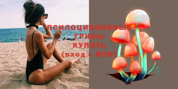 ешки Козловка