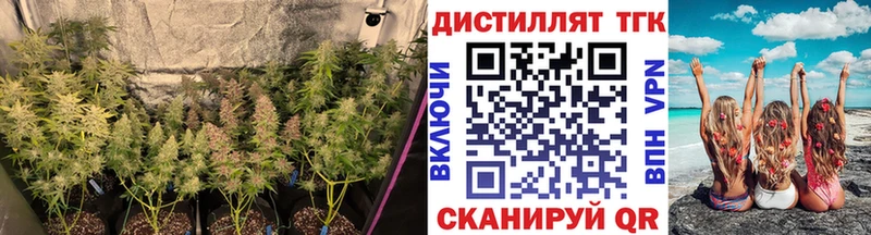 Дистиллят ТГК вейп с тгк  Купить  Новоульяновск 